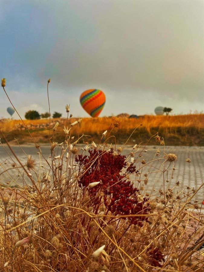 Soleado Cappadocia Hotel Üçhisar Esterno foto